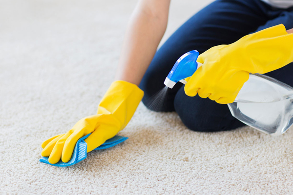 Cleaning Services in Virginia Beach, VA